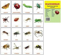 Раздаточные карточки "Насекомые" - fgospostavki.ru - Махачкала