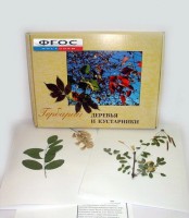 Гербарий "Деревья и кустарники" (20 видов) - fgospostavki.ru - Махачкала