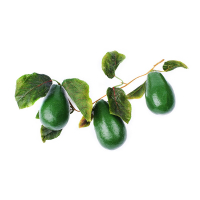 Ветка муляжей "Авокадо" - fgospostavki.ru - Махачкала