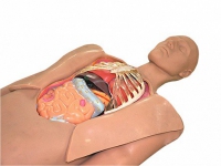 Муляж оперируемого пациента с экскурсией в грудную клетку и маской наркоза - fgospostavki.ru - Махачкала