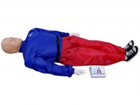 "Александр-04" тренажер-манекен взрослого пострадавшего для отработки приемов сердечно-легочной реанимации (голова, туловище, конечности) с контроллером - fgospostavki.ru - Махачкала
