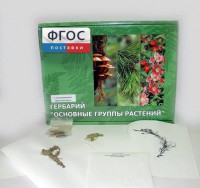 Гербарий "Основные группы растений" (52 листа) - fgospostavki.ru - Махачкала