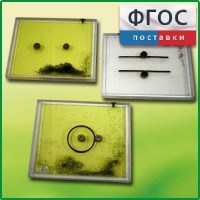 Набор для демонстрации электрических полей - fgospostavki.ru - Махачкала