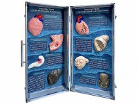 Учебно-демонстрационный кейс "Последствия употребления алкоголя и наркотиков" - fgospostavki.ru - Махачкала