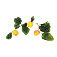 Ветка муляжей "Абрикосы" - fgospostavki.ru - Махачкала