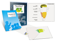 Комплект кодотранспарантов "Корень. Стебель. Лист (Внутреннее строение)" - fgospostavki.ru - Махачкала