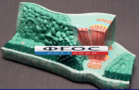 Модель "Структура листа" - fgospostavki.ru - Махачкала