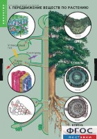Комплект таблиц. Биология. Растение – живой организм. - fgospostavki.ru - Махачкала