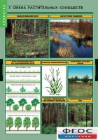 Комплект таблиц. Биология. Растения и окружающая среда. - fgospostavki.ru - Махачкала