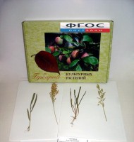 Гербарий "Культурные растения" (28 видов) - fgospostavki.ru - Махачкала