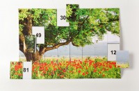 Магнитная таблица умножения "Поле" - fgospostavki.ru - Махачкала