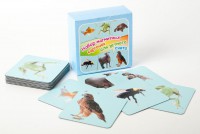 Набор магнитных карточек "Устный счет" (фон голубой) - fgospostavki.ru - Махачкала