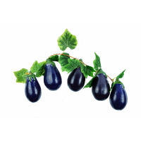 Ветка муляжей "Баклажаны" - fgospostavki.ru - Махачкала