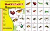 Демонстрационные карточки "Насекомые" - fgospostavki.ru - Махачкала