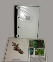 Гербарий "Эволюция высших растений" (ламинированный) - fgospostavki.ru - Махачкала