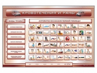 Трехсекционный базовый комплект "Травмы. Кровотечения. Ожоги" для учащихся общеобразовательных учреждений - fgospostavki.ru - Махачкала