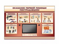Многофункциональный интерактивный стенд-тренажер "Оказание первой помощи пострадавшим" для учащихся общеобразовательных учреждений - fgospostavki.ru - Махачкала
