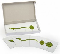 Модель-аппликация "Роль ядра в регуляции развития организма" (набор из 8 карт) - fgospostavki.ru - Махачкала