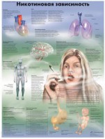 Плакат "Никотиновая зависимость" ламинированный - fgospostavki.ru - Махачкала