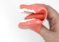 Муляж рта (мини) - fgospostavki.ru - Махачкала