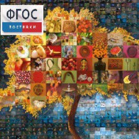 Начальная школа. Иностранный язык. (Цифровая база изображений) - fgospostavki.ru - Махачкала