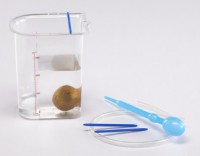 Сосуд Архимеда - fgospostavki.ru - Махачкала