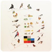 Набор магнитных карточек "Загадки-отрицания". Птицы - fgospostavki.ru - Махачкала