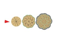 Магнитная математика Наталии Пятибратовой (Числовые фигуры) - fgospostavki.ru - Махачкала