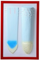 Барельефная модель "Клеточное строение корня" - fgospostavki.ru - Махачкала