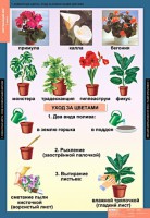 Комплект таблиц. Окружающий мир 1 класс. - fgospostavki.ru - Махачкала