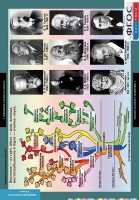 Комплект таблиц. Биология. Введение в экологию. - fgospostavki.ru - Махачкала