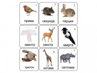 Набор магнитных карточек по музыке "Животные" (9 штук) - fgospostavki.ru - Махачкала