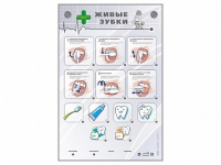 Интерактивный стенд "Живые зубки" - fgospostavki.ru - Махачкала