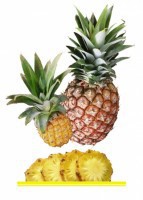 Комплект карточек "Запоминай, играй, считай" - Фрукты - fgospostavki.ru - Махачкала