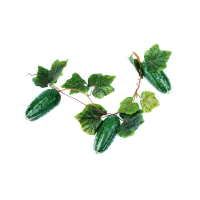 Ветка муляжей "Огурцы" - fgospostavki.ru - Махачкала