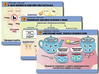Комплект таблиц "Русский язык. Орфография" (14 таблиц, формат А1, ламинированные) - fgospostavki.ru - Махачкала