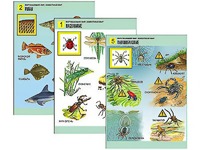 Комплект таблиц "Окружающий мир. Животный мир" (8 таблиц, А1, ламинированные) - fgospostavki.ru - Махачкала