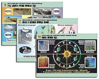 Комплект таблиц "Окружающий мир. Изменения в живой и неживой природе" (10 таблиц, А1, ламинированные) - fgospostavki.ru - Махачкала