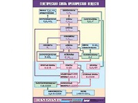 Таблица демонстрационная "Генетическая связь органических веществ" (винил 100x140) - fgospostavki.ru - Махачкала