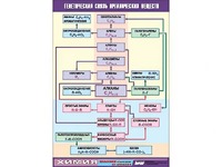 Таблица демонстрационная "Генетическая связь органических веществ" (винил 70x100) - fgospostavki.ru - Махачкала