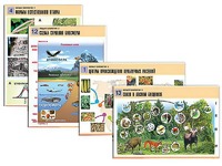 Комплект таблиц по биологии демонстрационных "Общая биология 2" (14 таблиц, формат А1, ламинированные) - fgospostavki.ru - Махачкала