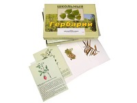 Гербарий "Для начальной школы" (30 видов, с иллюстрациями) - fgospostavki.ru - Махачкала
