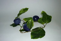 Ветка муляжей "Слива" - fgospostavki.ru - Махачкала