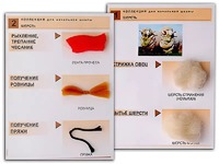 Коллекция "Шерсть" (начальная школа) - fgospostavki.ru - Махачкала