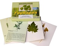 Гербарий "Систематика растений. Высшие споровые и семенные" (раздаточный) - fgospostavki.ru - Махачкала