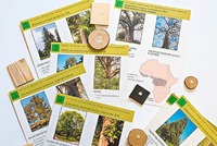 Коллекция "Древесные растения и их распространение" (демонстрационная) - fgospostavki.ru - Махачкала