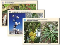 Гербарий фотографический "Сельскохозяйственные растения мира" - fgospostavki.ru - Махачкала