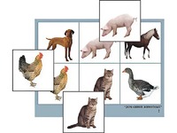 Логопедическое лото "Домашние животные" (4 планшета, 24 карточки, цветное, ламинированное) - fgospostavki.ru - Махачкала