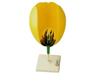 Модель цветка тюльпана - fgospostavki.ru - Махачкала