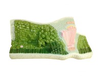 Модель строения листа - fgospostavki.ru - Махачкала